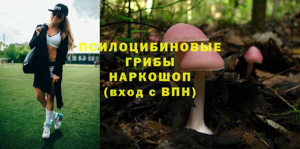 apvp Покров