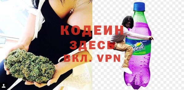 шишки Пестово