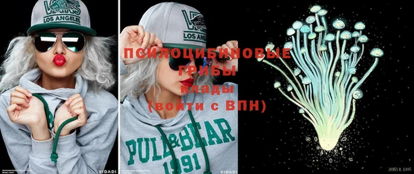 apvp Покров