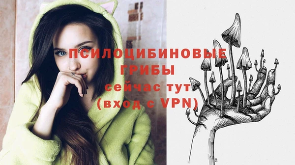 прущий лед Покровск